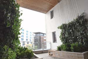 Outside Space- click for photo gallery